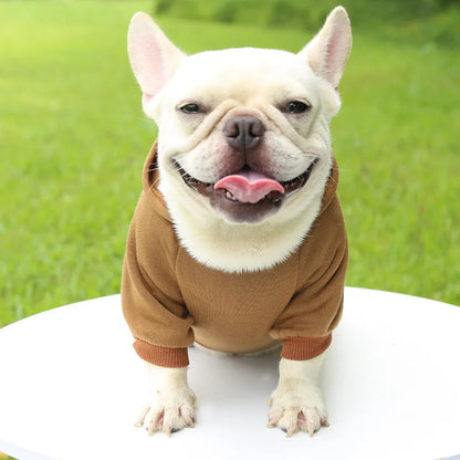 Winter Warm Dog Hoodie