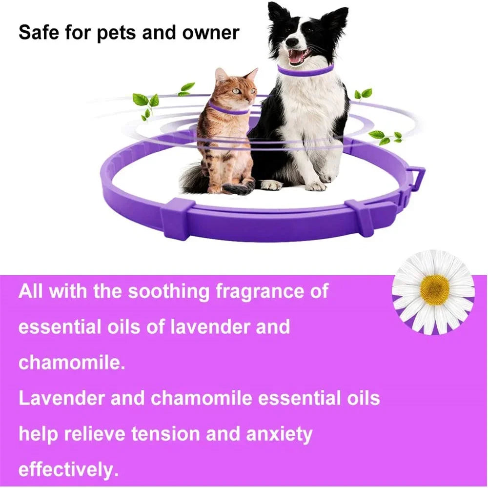 Pet Calming Collar