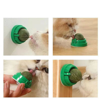 Catnip Wall Stick-on Ball Toy