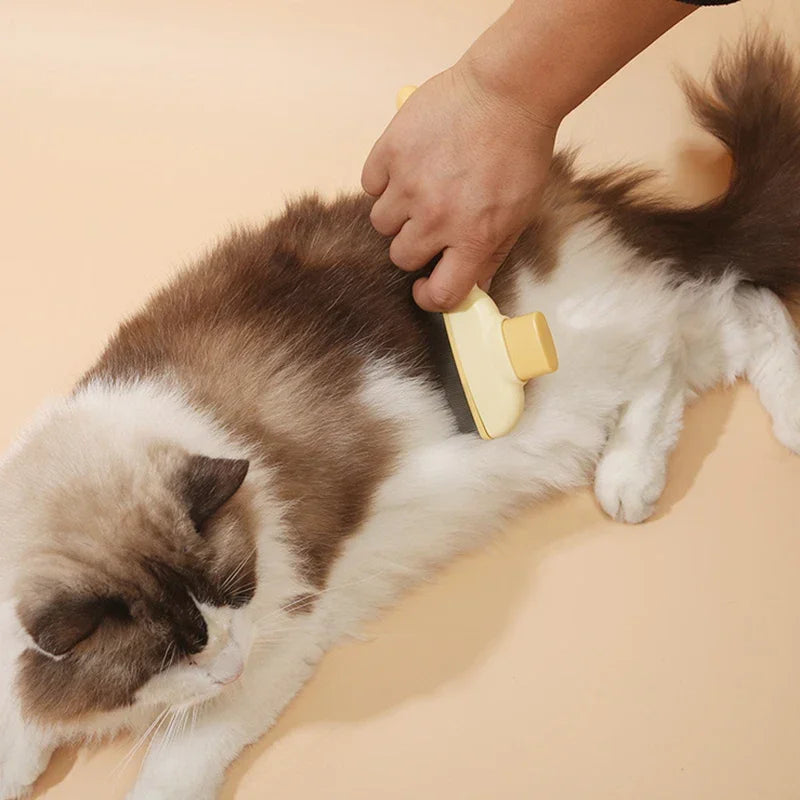 Pet Hair Removal Brush