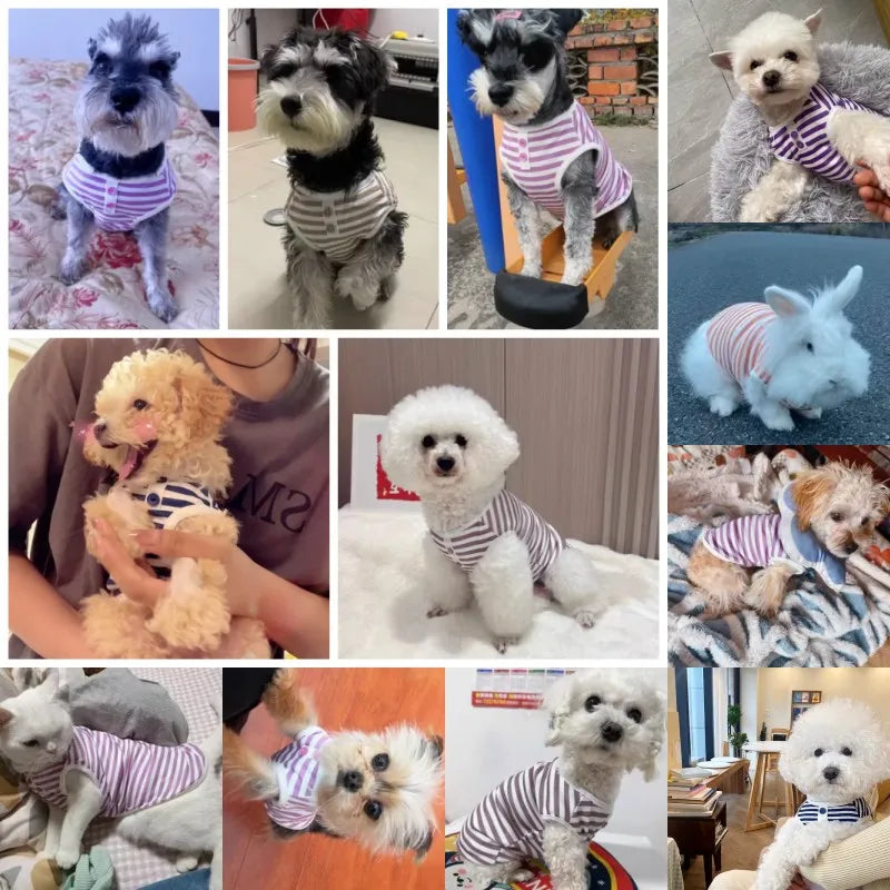 Striped Pet Sweatshirt