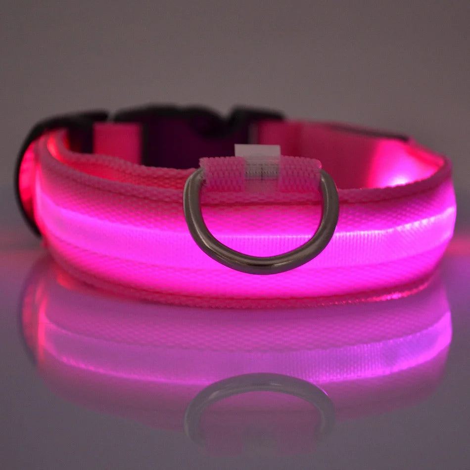 Nylon LED Night Safety Flashing Glow Dog Collar