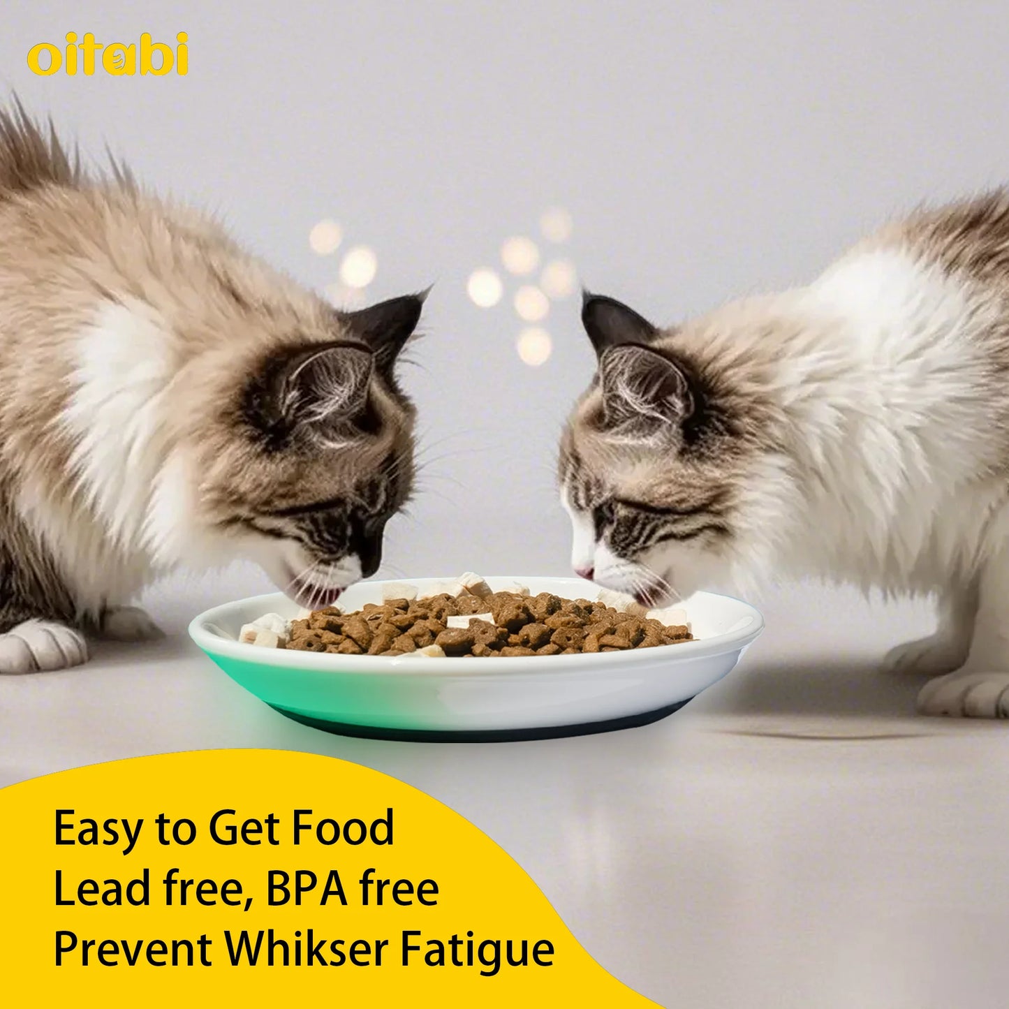 Oitabi No Spill Cat Bowl Set