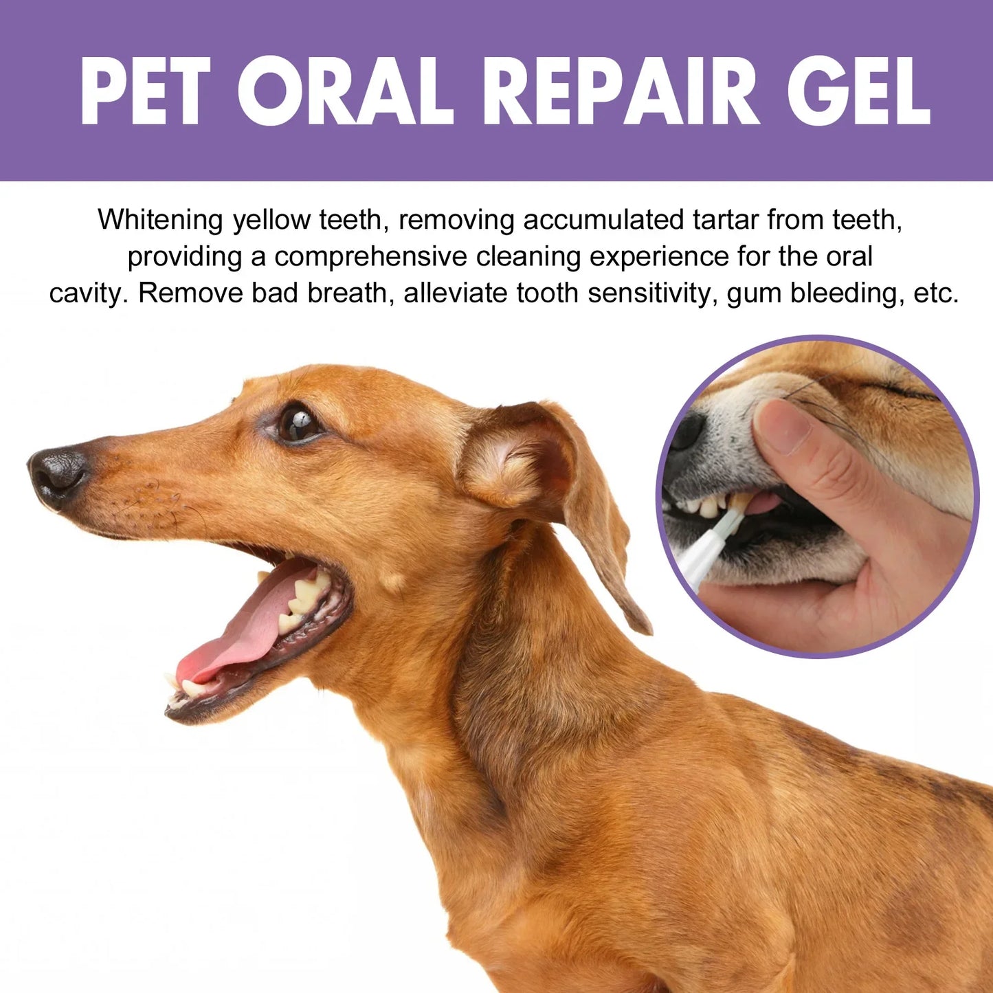 Pet Teeth Cleaning Pen