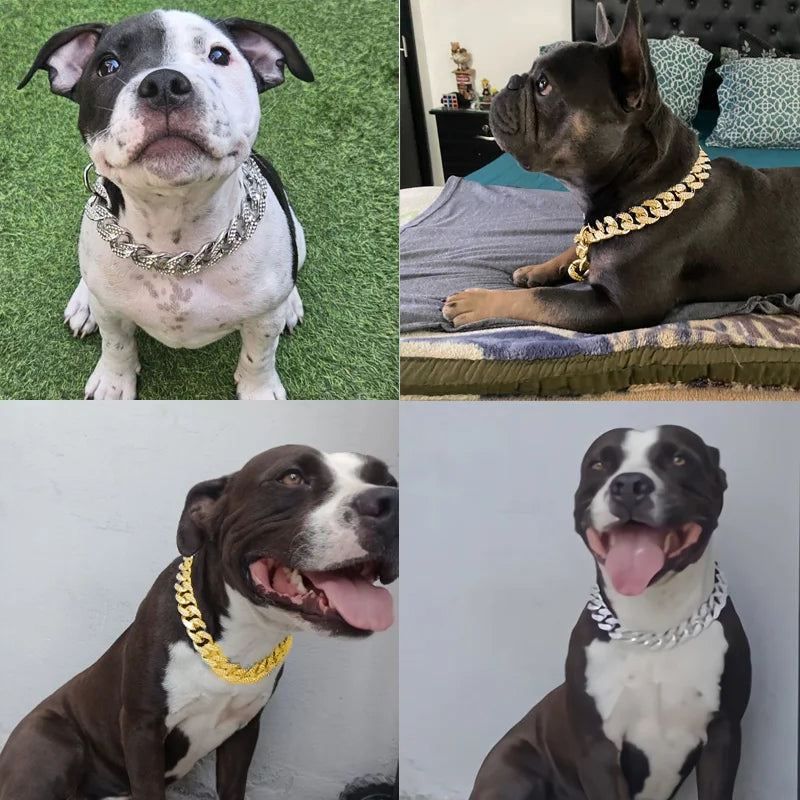 Diamond Inlay Dog Collar Chain