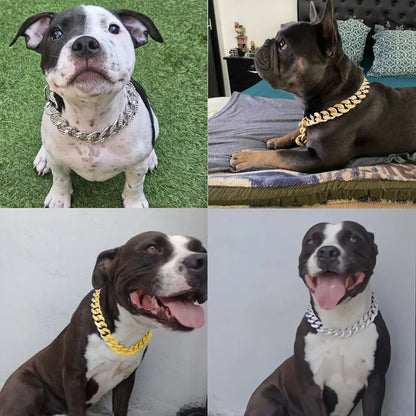 Diamond Inlay Dog Collar Chain