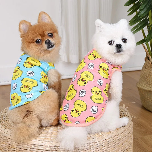 Pet Clothes for Small Dogs & Cats