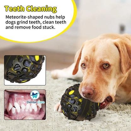 Interactive Dog Ball Toy