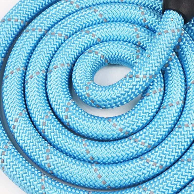3M Reflective Dog Leash