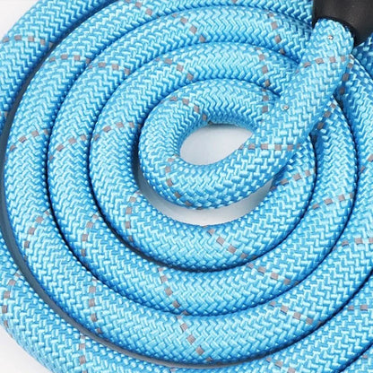 3M Reflective Dog Leash