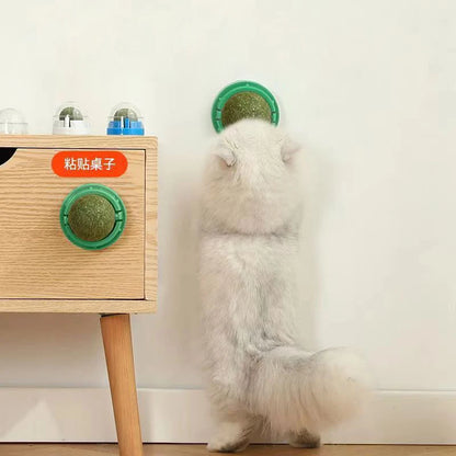 Catnip Wall Stick-on Ball Toy