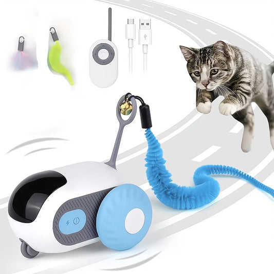 Chase, Pounce &amp; Play