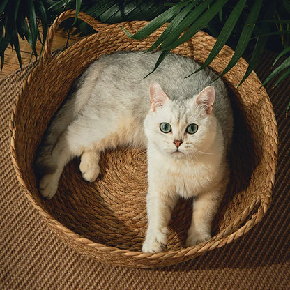 Rattan Weaving Basket