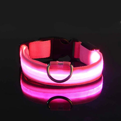 Nylon LED Night Safety Flashing Glow Dog Collar