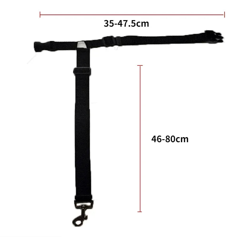 Two-in-One Pet Car Seat Belt &amp; Leash