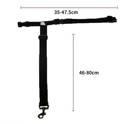 Two-in-One Pet Car Seat Belt &amp; Leash