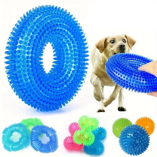 Sound Ball Dog Toy