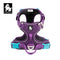 PURPLE 1