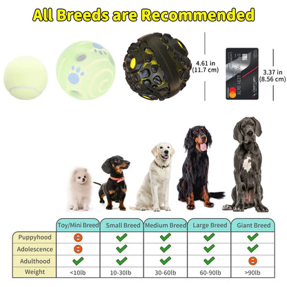 Interactive Dog Ball Toy