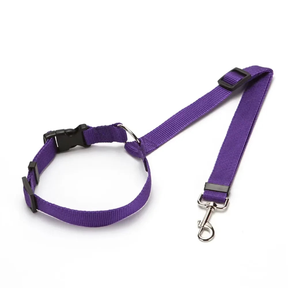Two-in-One Pet Car Seat Belt &amp; Leash