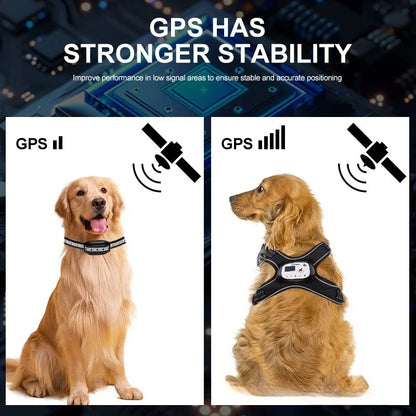 5000Ft Wireless Electronic Pet Fence