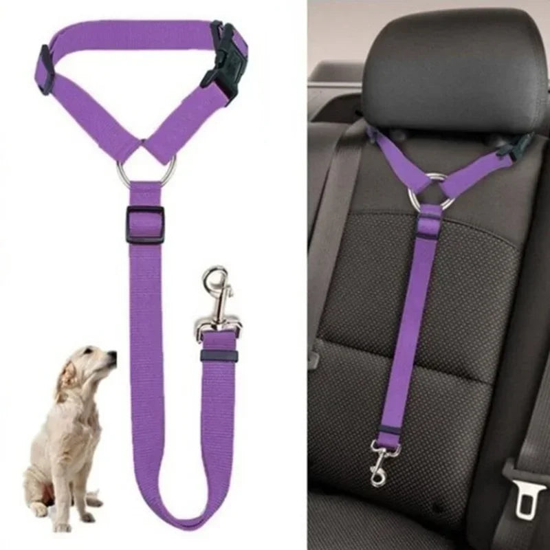 Two-in-One Pet Car Seat Belt &amp; Leash