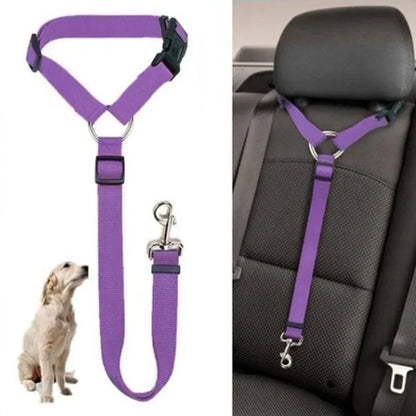 Two-in-One Pet Car Seat Belt &amp; Leash