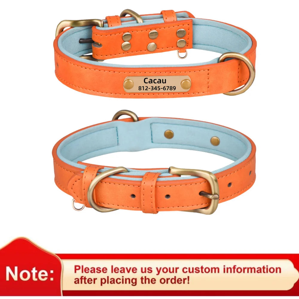 Customized Leather ID Dog Collar