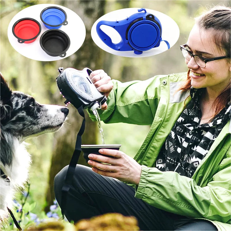 Three-in-One Dog Leash