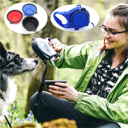 Three-in-One Dog Leash