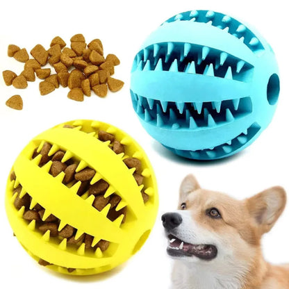 Interactive Rubber Food Ball