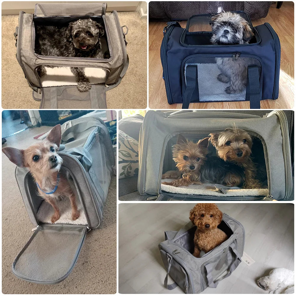 Soft-Sided Pet Carrier Backpack