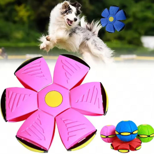 Pet Flying Saucer Bouncing Ball Toy