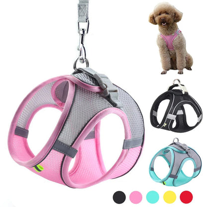 Adjustable Dog Harness and Leash Set