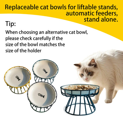 Oitabi No Spill Cat Bowl Set