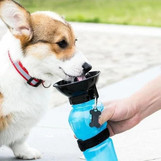 Outdoor Portable Pet Water Bottle