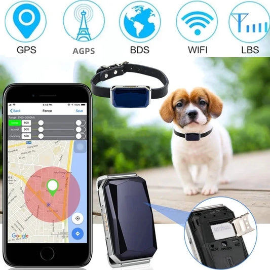 Dog Collar with GPS Tracker