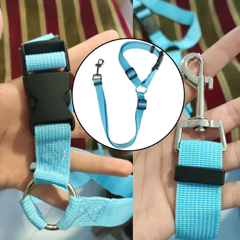 Two-in-One Pet Car Seat Belt &amp; Leash
