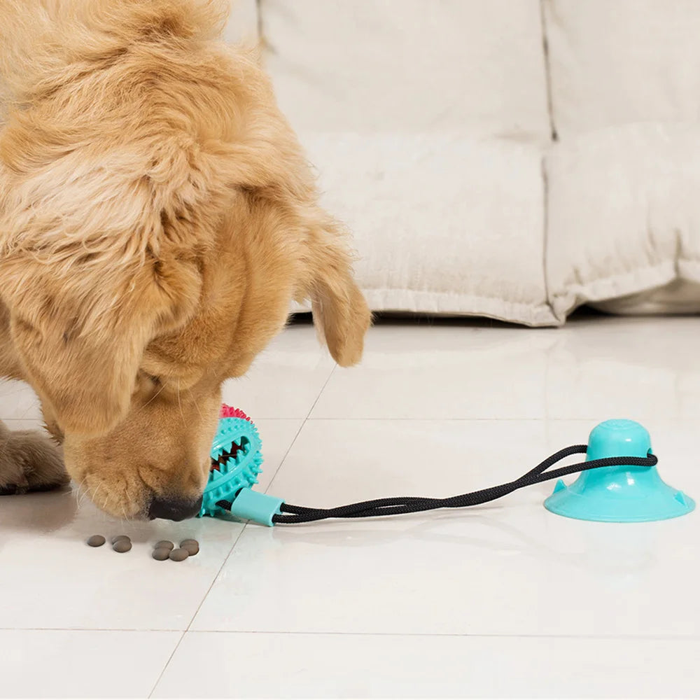 Interactive Suction Cup Tug Toy