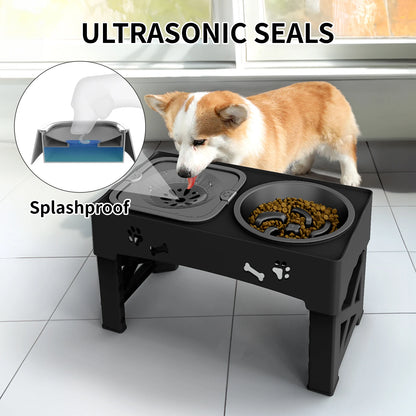 Foldable Pet Feeder