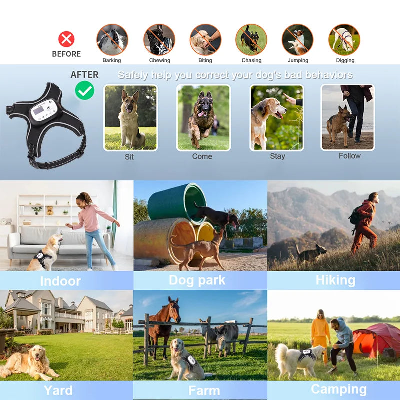 5000Ft Wireless Electronic Pet Fence