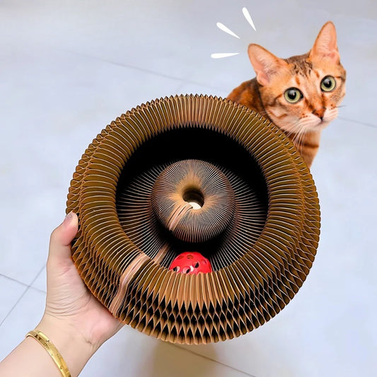 Magic Organ Cat Scratching Board Toy