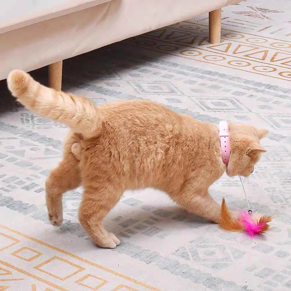 Cat Interactive Toys Feather Collar Self-healing
