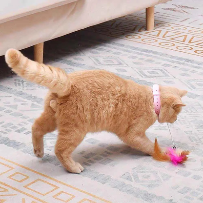 Cat Interactive Toys Feather Collar Self-healing